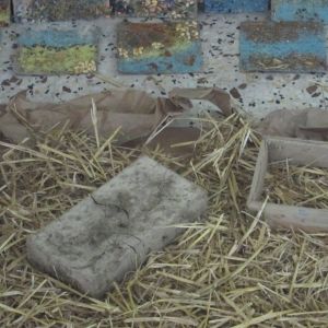 le-case-di-terra-cruda